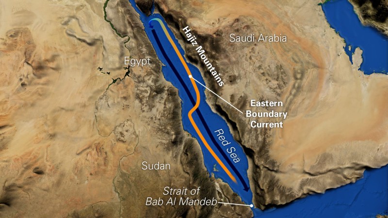 Maintaining Red Sea security is a regional and international necessity