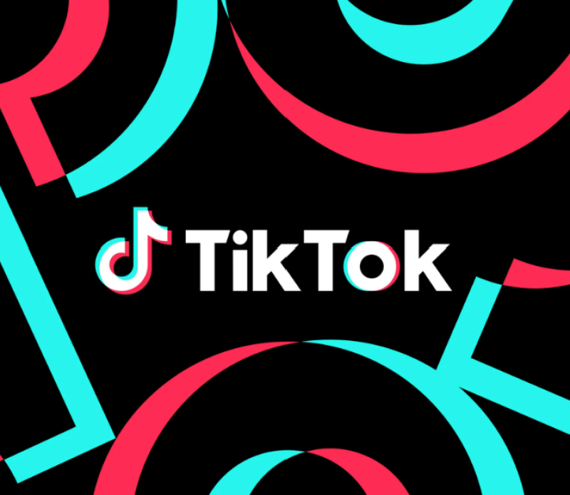 TikTok has submitted risk assessment report on TikTok Lite to EU