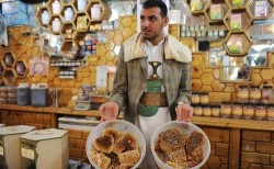 العسل اليمني .. ثروة تنموية يهددها الصراع والتغير المناخي