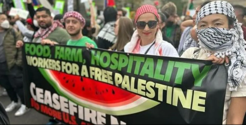 “They stole it from Palestine..” An American petition to boycott “Israeli cuisine”